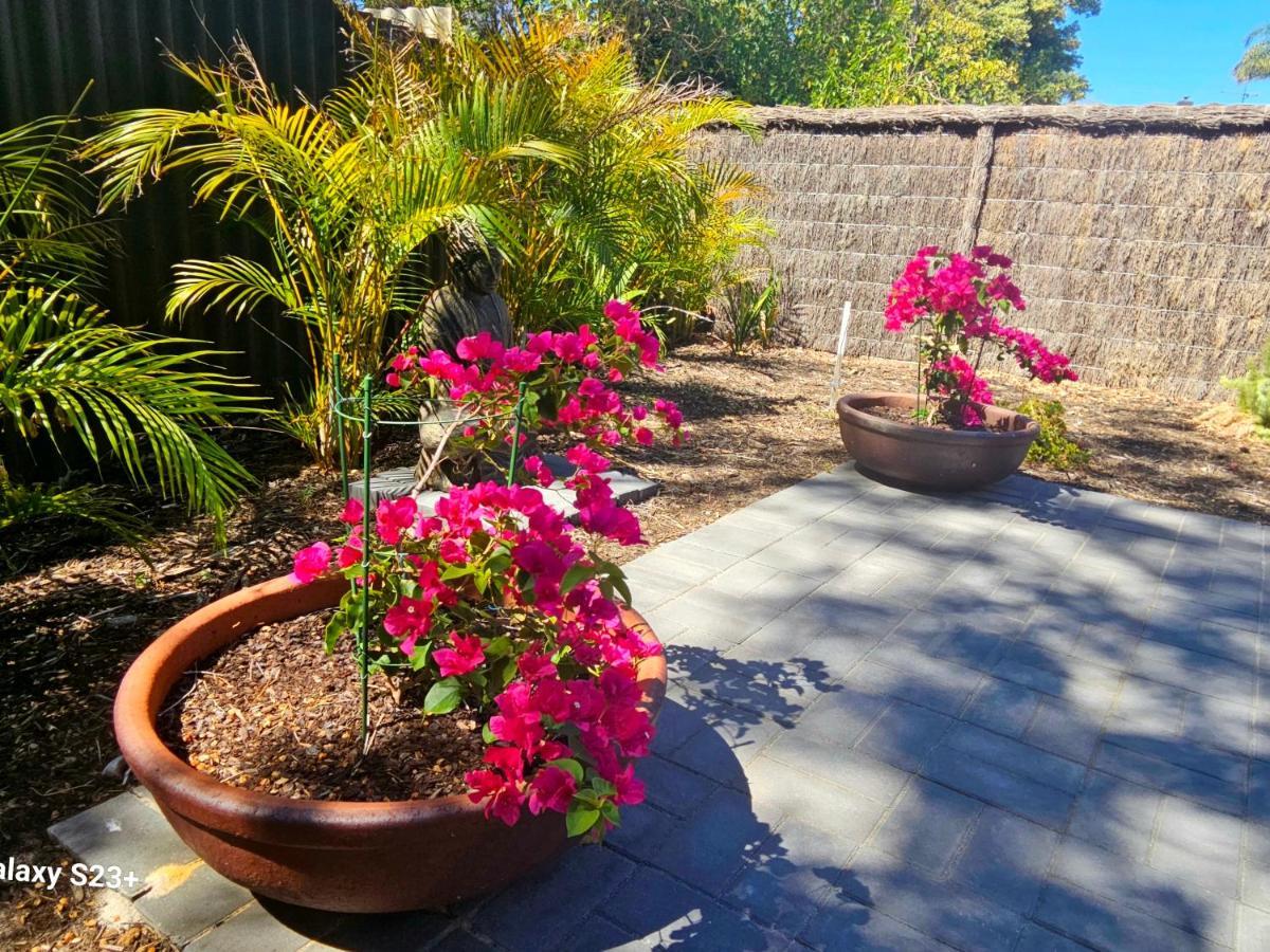 Tranquil Gumnut Cottage - Close To Airport パース エクステリア 写真
